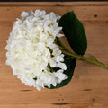 Oversized White Hydrangea