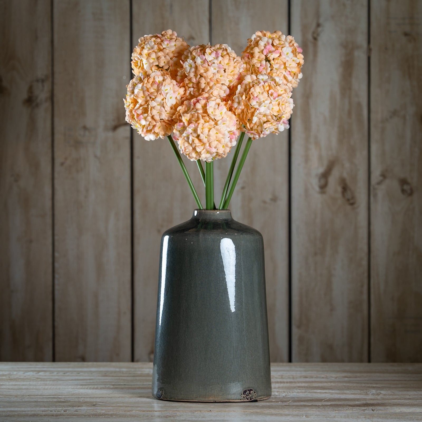The Natural Garden Collection White & Apricot Allium