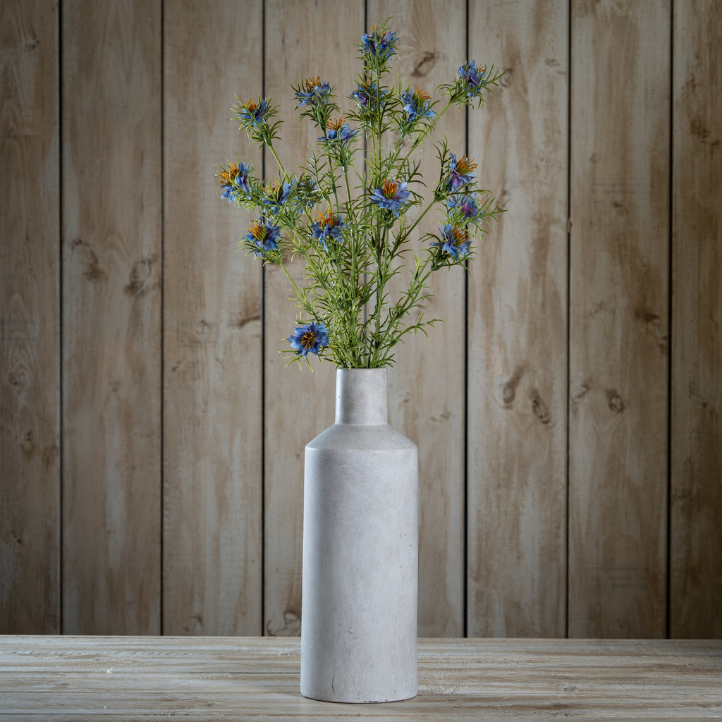 The Natural Garden Collection Purple Nigella Love In A Mist