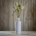 Green Allium Stem