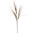 Brome Grass Spray