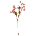 Pink Vernicia Fordii Spray