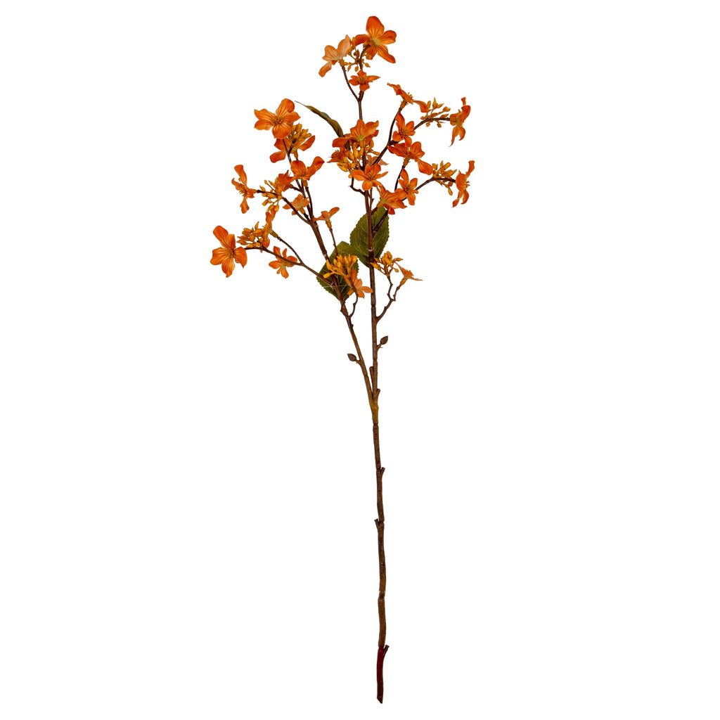 Orange Vernicia Fordii Spray