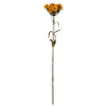 Yellow Dianthus Spray