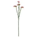 Pink Statis Spray