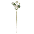 White African Marigold Large Spray