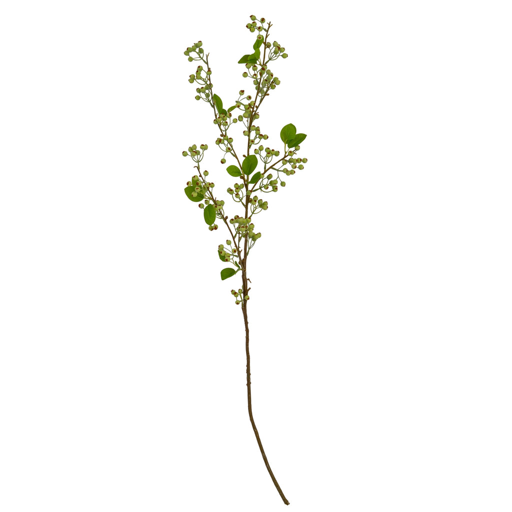 Green Mossberry Large Branch