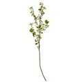 Green Mossberry Large Branch